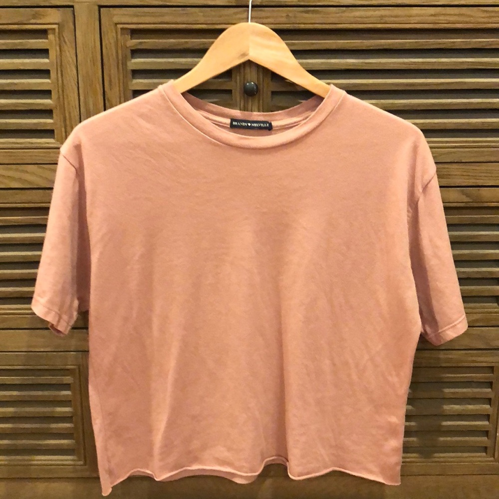 Brandy Melville dusty rose short sleeve t shirt OS